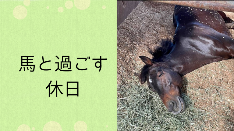 投稿についてもっと詳しく 2025年度馬術講習会